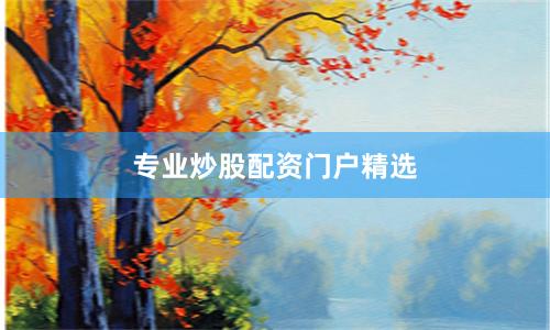专业炒股配资门户精选