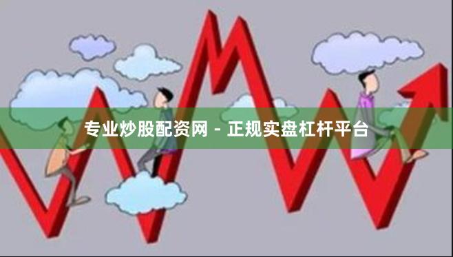 专业炒股配资网 - 正规实盘杠杆平台